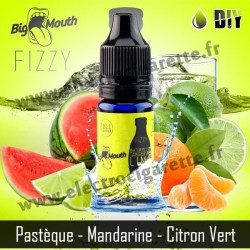 Watermelon Tangerine Lime - Fizzy DiY - Big Mouth