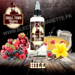 Hill - Small Town Vapes - ZHC 100 ml
