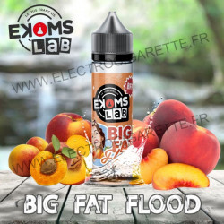 Big Fat Flood - Ekoms Labs - ZHC 50 ml