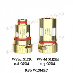 Pack de 5 x résistances R80 Wismec - 2 modèles