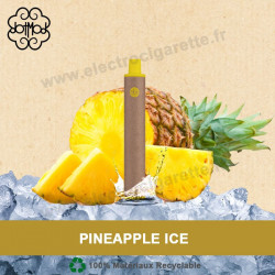 Pineapple Ice - Dot e-Series - DotMod - Cigarette jetable
