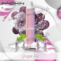 Grape Ice - Raisin Glacé - Puff Lota Enviro - Innokin - Vape Pen - Cigarette jetable - 600 puffs