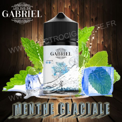 Menthe Glaciale - Les jus de Gabriel - Laboratoire H2O - ZHC 50ml
