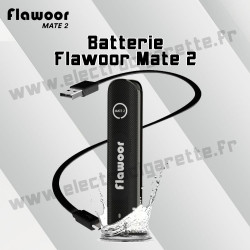 Batterie - Flawoor Mate 2 - 450 Mah - Capsule pod