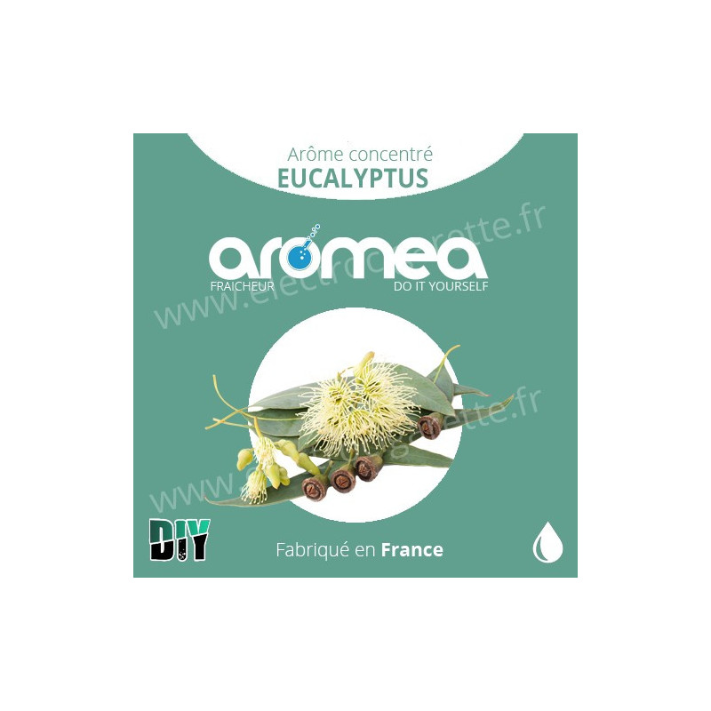 Eucalyptus - Aromea