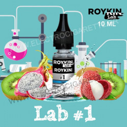 Lab #1 - Roykin