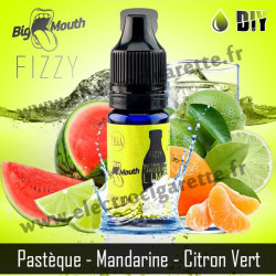 Watermelon Tangerine Lime - Fizzy DiY - Big Mouth