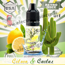 Lemon Cactus - Retro Juice DiY - Big Mouth