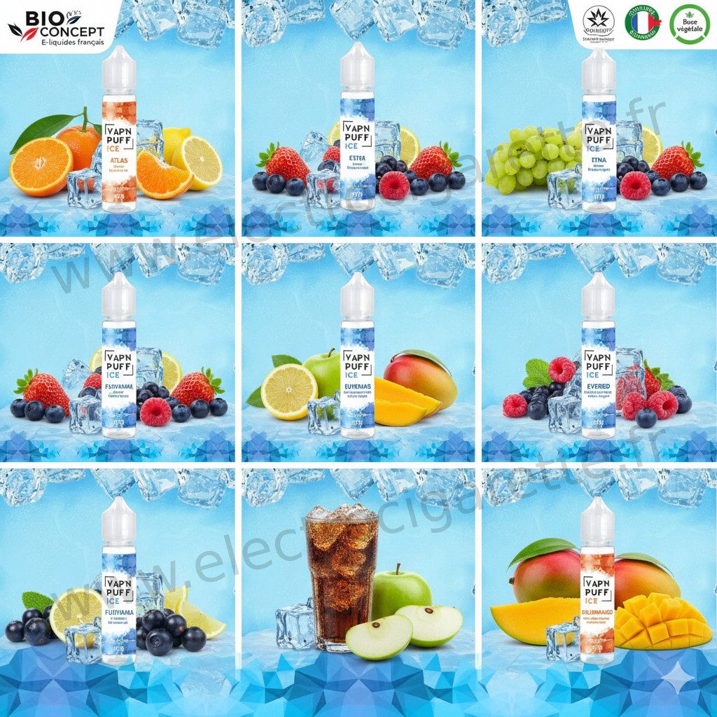 Découvrez la version Ice de Vape'N Puff par Bio Concept